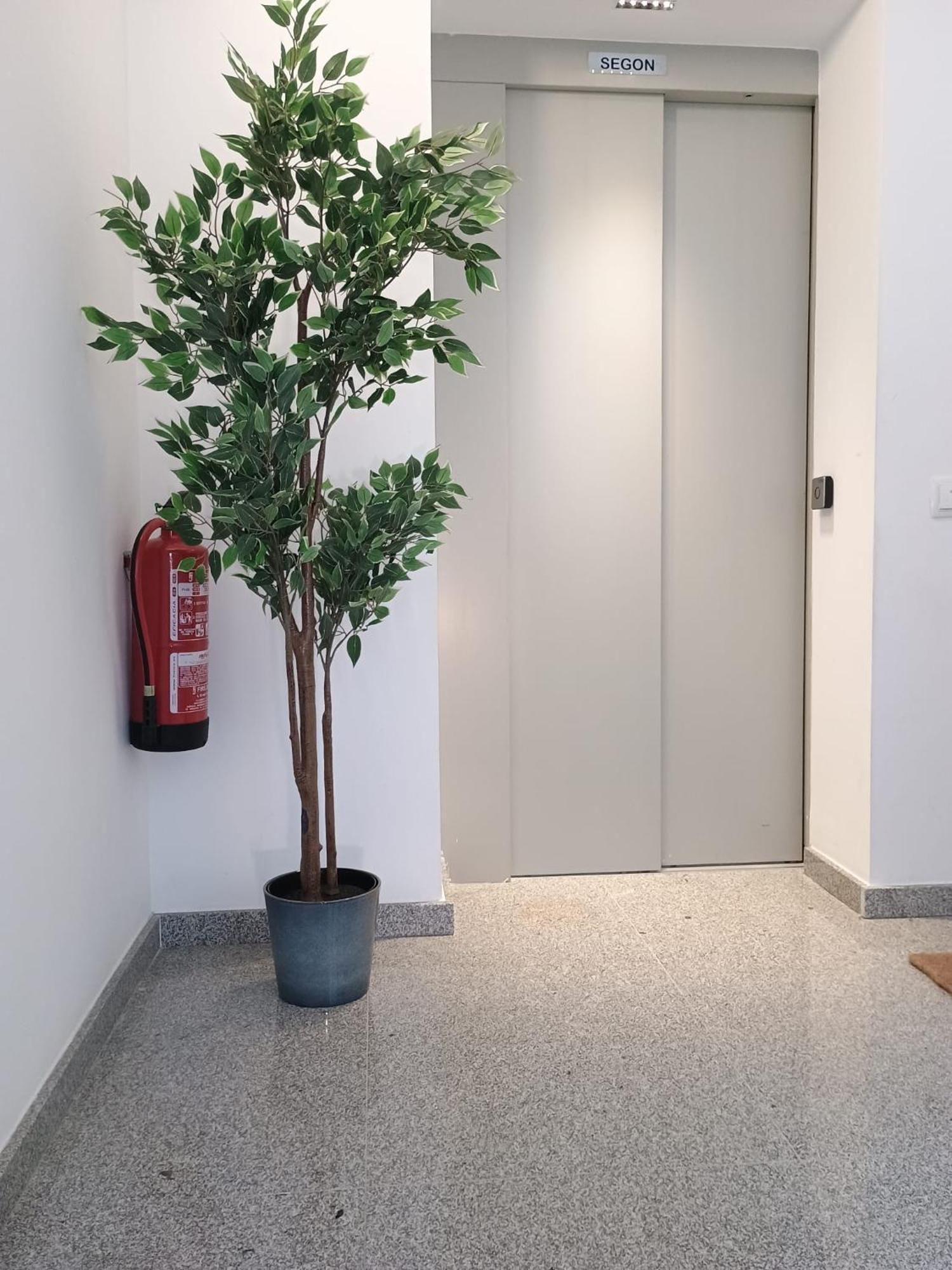 Centric Apartment Camp Nou L'Hospitalet de Llobregat Eksteriør billede
